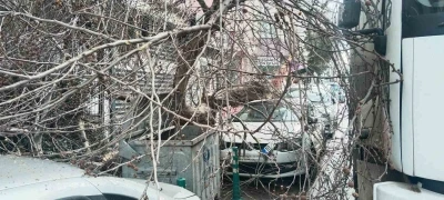 Kamyon &ccedil;arptı, &ccedil;ınar ağacı ara&ccedil;ların &uuml;zerine devrildi
