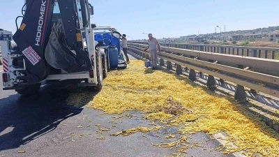 Kamyonet bariyerlere çarptı, kilolarca patates yola saçıldı
