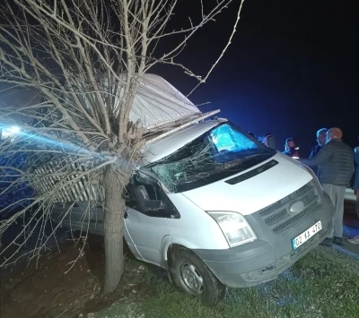 Kamyonet şarampolde ağaca &ccedil;arptı: 1 yaralı
