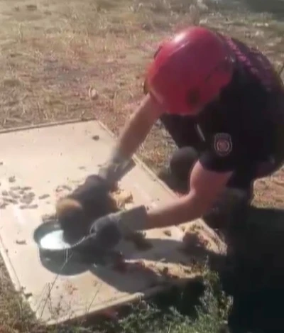 Kanala düşen yavru köpek kurtarıldı
