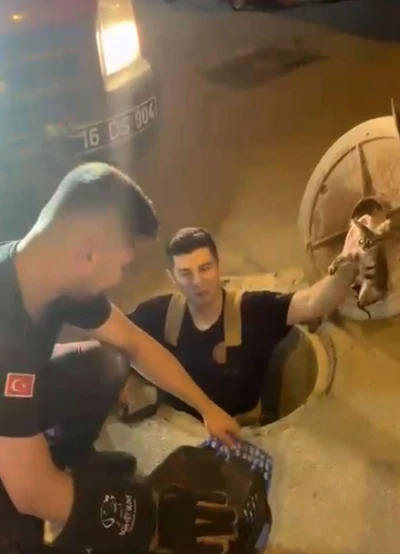 Kanalizasyonda mahsur kalan kedi böyle kurtarıldı
