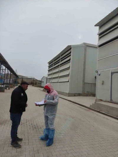 Kanatlı hayvan ve yumurta &uuml;retim tesislerinde denetim
