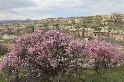 Kapadokya renklendi
