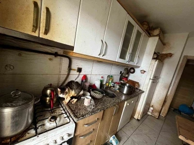 Kapı a&ccedil;ılınca karşılaşılan manzara şoke etti
