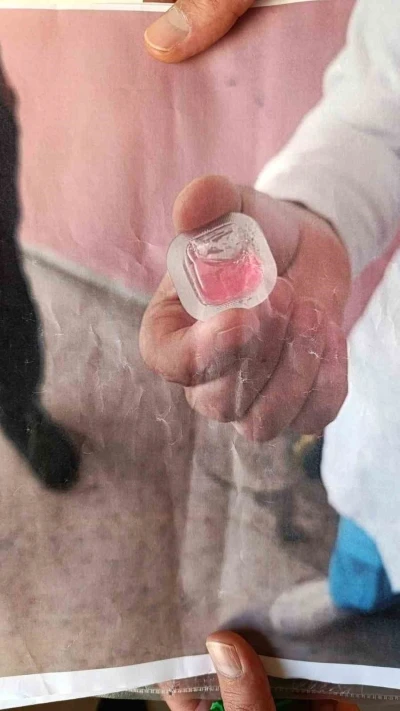 Kapı kapı gezip fotoğraf göstererek tehlikeye dikkat çektiler
