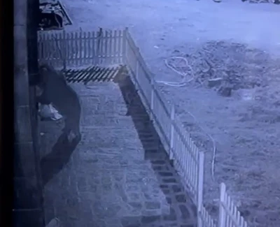 Kapıyı hırsız zorluyor sandı, gerçek güvenlik kamerası ile ortaya çıktı
