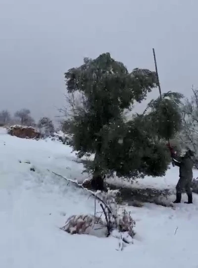 Kar ağırlığına dayanamayan ağa&ccedil;lar zarar g&ouml;rd&uuml;
