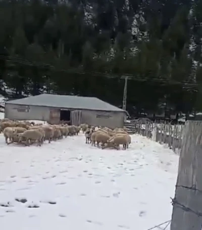 Kar kalınlığı 1 metreye ulaştı, mahsur kalan vatandaş kurtarıldı
