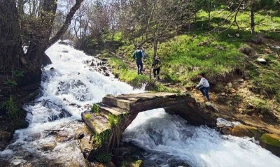 Kar sularıyla coşan Beyazsu Şelalesi hayran bırakıyor
