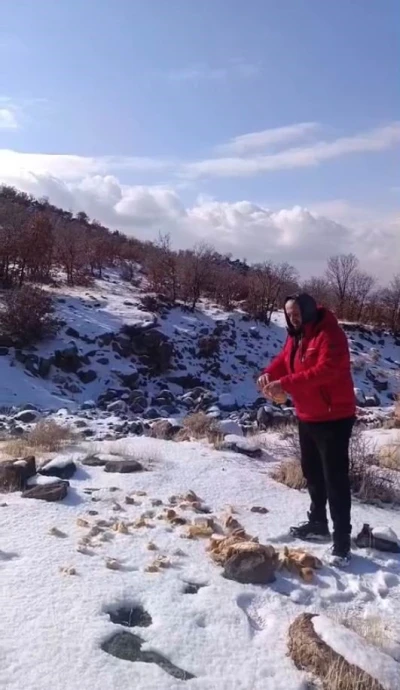 Kar yağışı Karacadağ&rsquo;daki yaban hayatını zorladı
