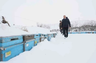 Kar yağışı, koloni kayıplarını ve hastalıkları minimuma indirdi: Arıcılar sezonundan &uuml;mitli
