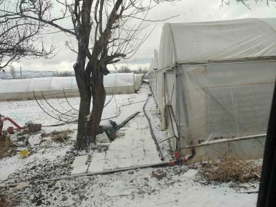 Kar yağışı sebebiyle seralar buz tuttu
