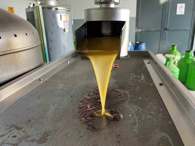 Kara meyve altın sıvıya d&ouml;n&uuml;ş&uuml;yor
