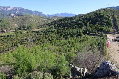 Kara tablo, 6 yılda yeşil &ouml;rt&uuml;ye d&ouml;n&uuml;şt&uuml;
