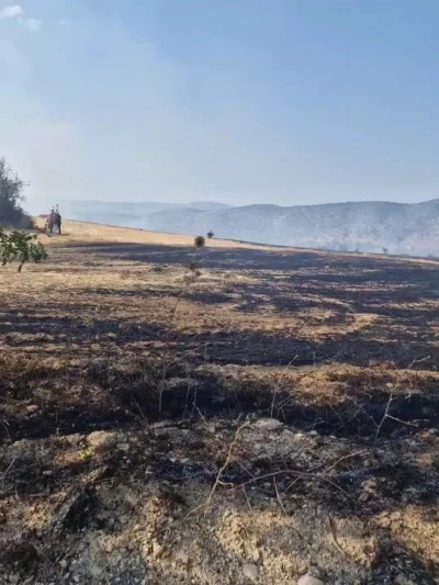 Karabük’te çıkan anız yangını kontrol altına alındı
