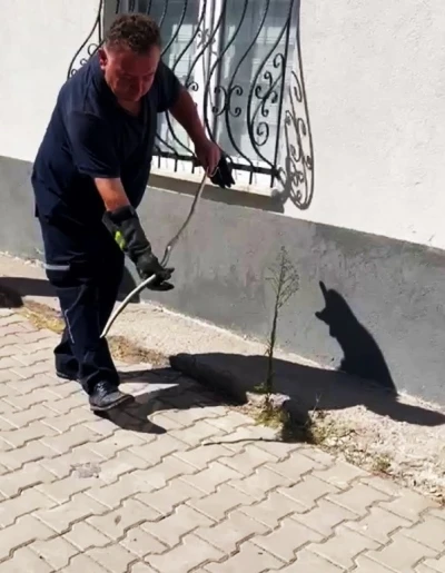 Karabük’te doğalgaz kutusuna giren yılan yakalandı
