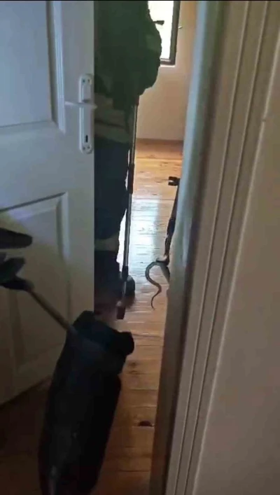 Karabük’te eve giren yılan itfaiye ekiplerince yakalanarak doğaya salındı
