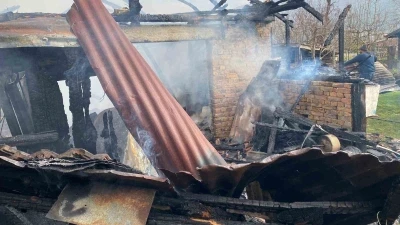 Karab&uuml;k&rsquo;te m&uuml;ştemilat yangını: 2 k&ouml;pek yavrusu telef oldu
