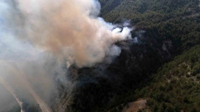 Karabük’te orman yangını çıktı
