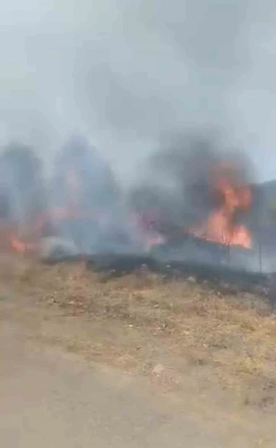 Karabük’te otluk alanda çıkan yangın korkuttu
