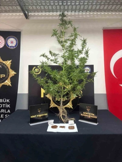 Karabük’te uyuşturucu operasyonu: 1 tutuklama
