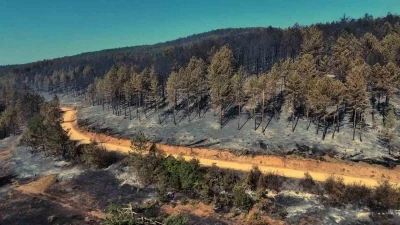 Karabük’teki orman yangınında geriye acı manzara kaldı
