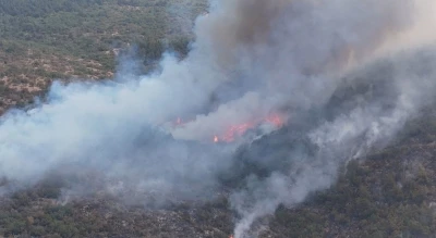 Karabük’teki yangınla ilgili 5 kişi gözaltına alındı
