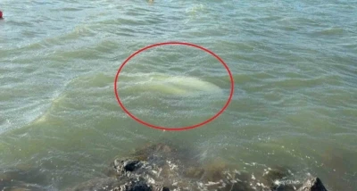 Karadeniz&rsquo;de fırtına: Samsun&rsquo;da 3 tekne battı
