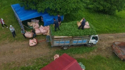 Karadeniz insanı yine zekasını konuşturdu, zor işi kolaylaştırdı
