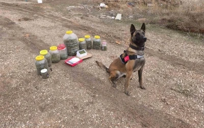 Karaman&rsquo;da uyuşturucu operasyonu: 1 g&ouml;zaltı
