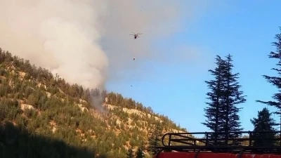 Karaman Valiliği: &quot;Orman yangınına 137 personel ve 3 helikopterle müdahale ediliyor&quot;

