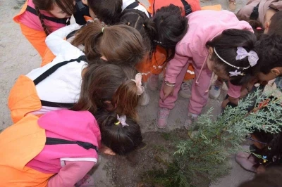 Karapınar’da minikler yeşil çevre için fidan dikti
