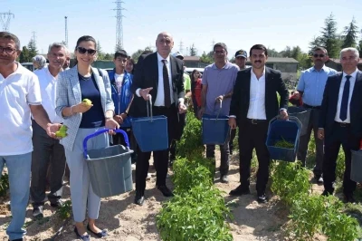 Karapınar’da &quot;Doğayla El Ele Öğreniyorum, Üretiyorum, Paylaşıyorum&quot; projesi meyvelerini veriyor
