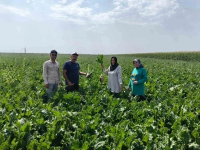 Karapınar Ovası’nda baharlık ürünlerin gelişimi incelendi
