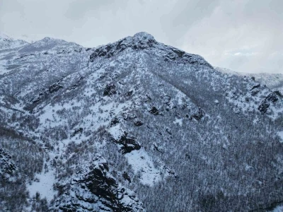 Karla birlikte meşe ormanı beyaza b&uuml;r&uuml;nd&uuml;
