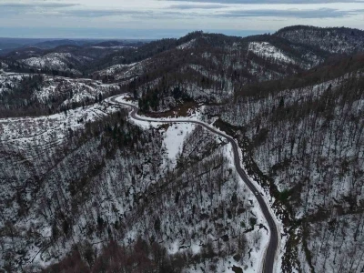 Karla kaplanan 900 rakımlı &Ccedil;am Dağı, kartpostallık g&ouml;r&uuml;nt&uuml;ler sundu
