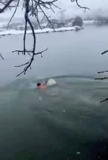 Karlı havada Dicle Nehri&rsquo;ne daldı