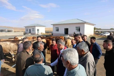 Kars Hayvan Pazarı açıldı
