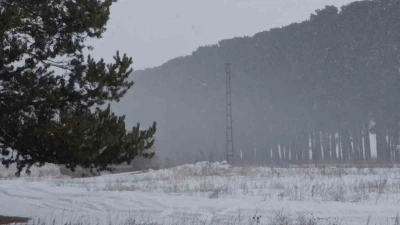 Kars&rsquo;ta 27 k&ouml;y yolu ulaşıma kapandı
