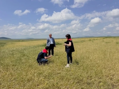 Kars&rsquo;ta fırtına ve dolu sonrası hasar tespit &ccedil;alışmaları başladı
