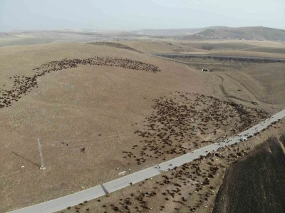 Kars’ta göçerlerin zoru yolculuğu başladı
