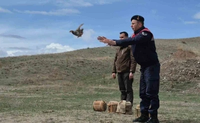 Kars&rsquo;ta ka&ccedil;ak avcılara darbe: 51 canlı keklik doğaya kazandırıldı
