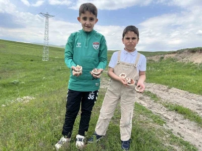 Kars&rsquo;ta mantar bereketi: &Ccedil;ocuklar doğada hem eğlendi hem topladı
