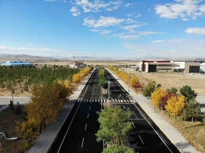 Kars’ta renk tonuna bürünen ağaçlar büyüledi
