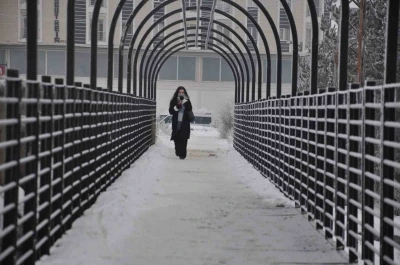 Kars&rsquo;ta soğuktan ağa&ccedil;lar kırağı tuttu
