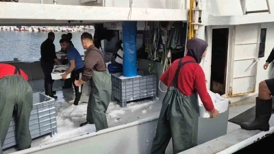 Kasa kasa balıkla döndüler:Tekirdağlı balıkçıların yüzü gülüyor
