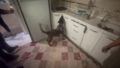 Kasaya zulalanan 10 kiloluk uyuşturucuyu narkotik köpeği ’Alis’ buldu
