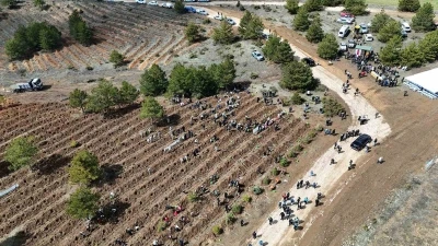 Kastamonu&rsquo;da 210 bin fidan toprakla buluşturulacak
