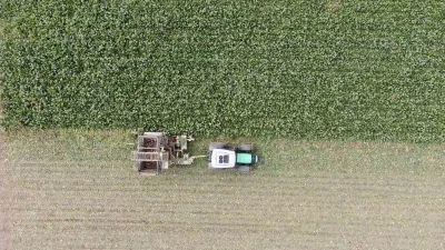 Kastamonu’da çiftçilerin zorlu pancar mesaisi devam ediyor
