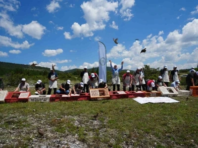 Kastamonu&rsquo;da doğaya bin 200 kınalı keklik salındı
